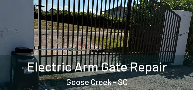 Electric Arm Gate Repair Goose Creek - SC