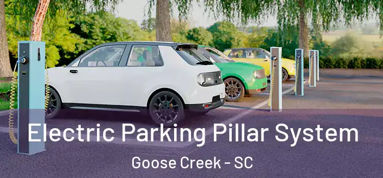  Electric Parking Pillar System Goose Creek - SC