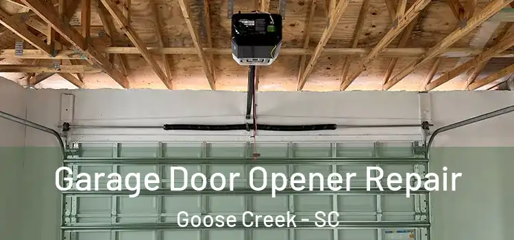  Garage Door Opener Repair Goose Creek - SC