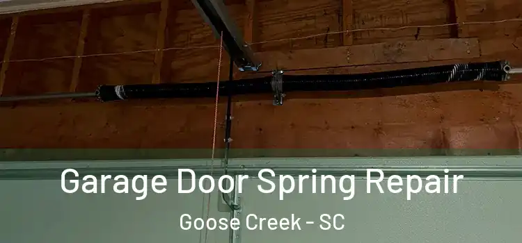  Garage Door Spring Repair Goose Creek - SC