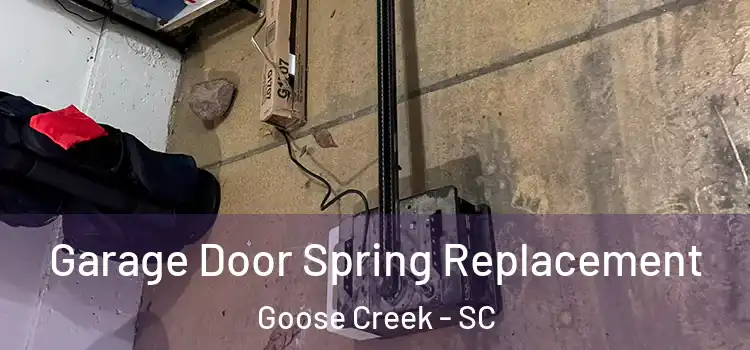  Garage Door Spring Replacement Goose Creek - SC