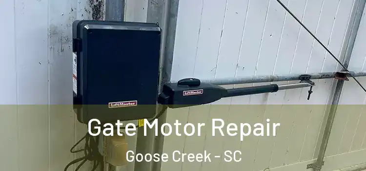 Gate Motor Repair Goose Creek - SC