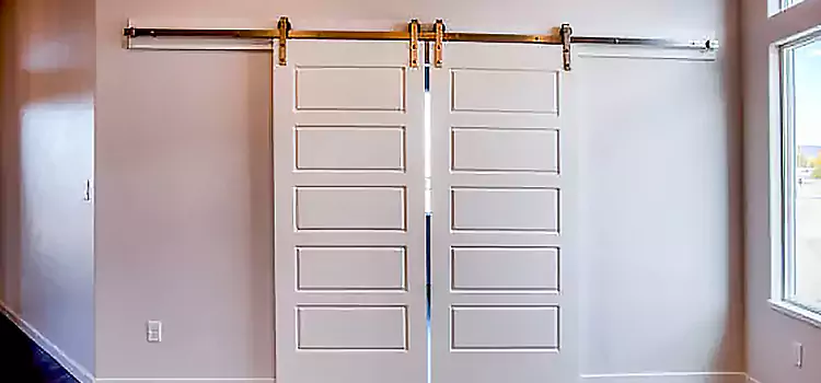 Glass Barn Door with Installation Hardware Kit Goose Creek