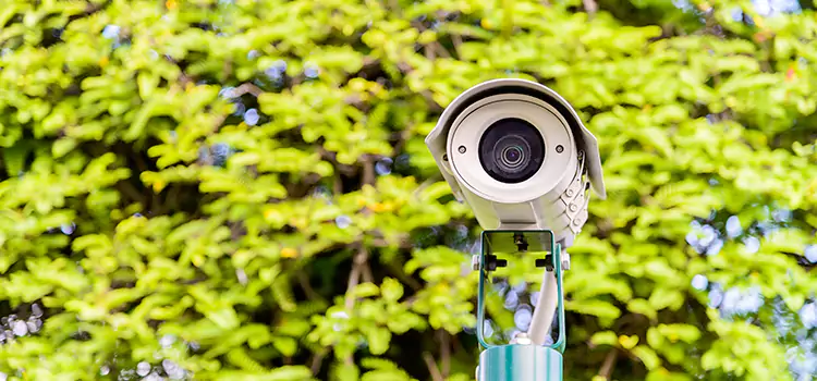 Advanced Surveillance Solutions for Every Need in Goose Creek
