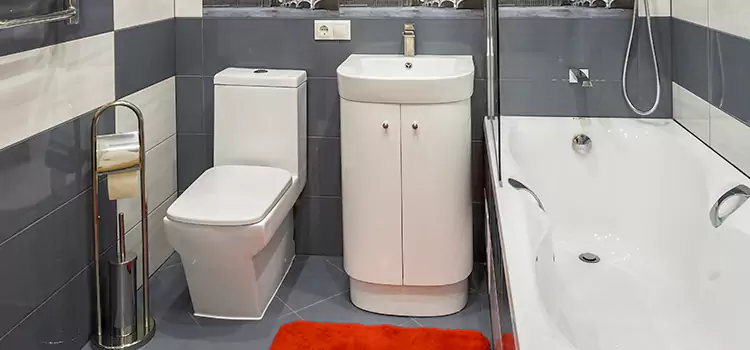 Hansgrohe Shaving Mirror Goose Creek