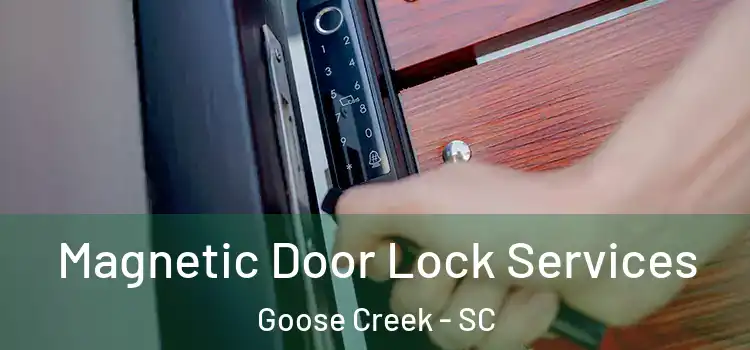 Magnetic Door Lock Services Goose Creek - SC