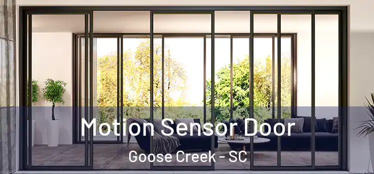  Motion Sensor Door Goose Creek - SC