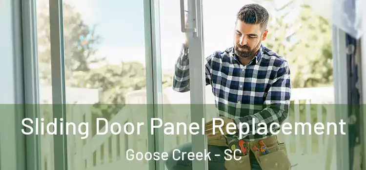  Sliding Door Panel Replacement Goose Creek - SC